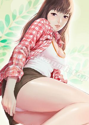 完结漫画：钢之炼金术师
